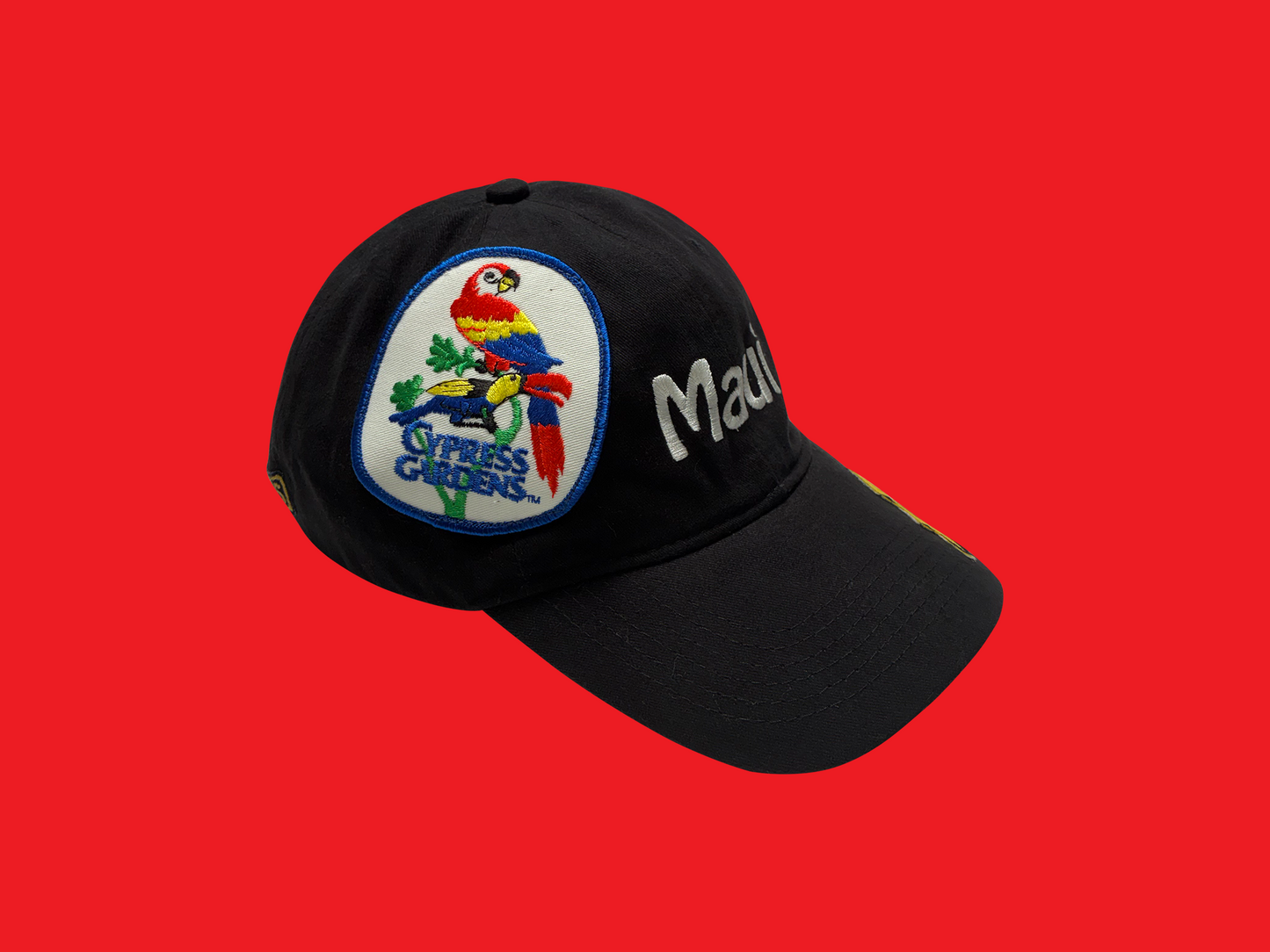Sewn Up Hat - 017