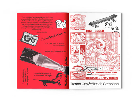 Image of an open zine spread