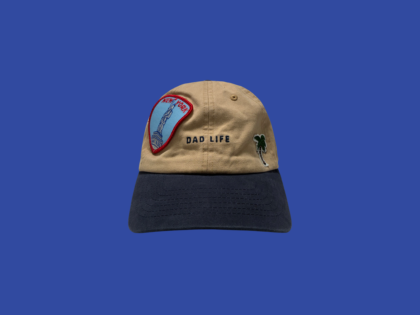 Sewn Up Hat - 018