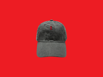 Sewn Up Hat - 22