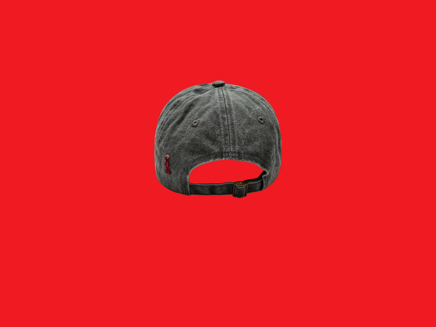Sewn Up Hat - 22