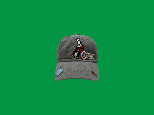 Sewn Up Hat - 20