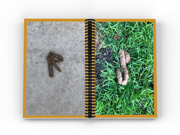 Image of an open book with coil binding down the center. Left page is an image of an R-shaped dog excrement on grass. Right page is dog excrement shaped like the letter “S” on dirt.