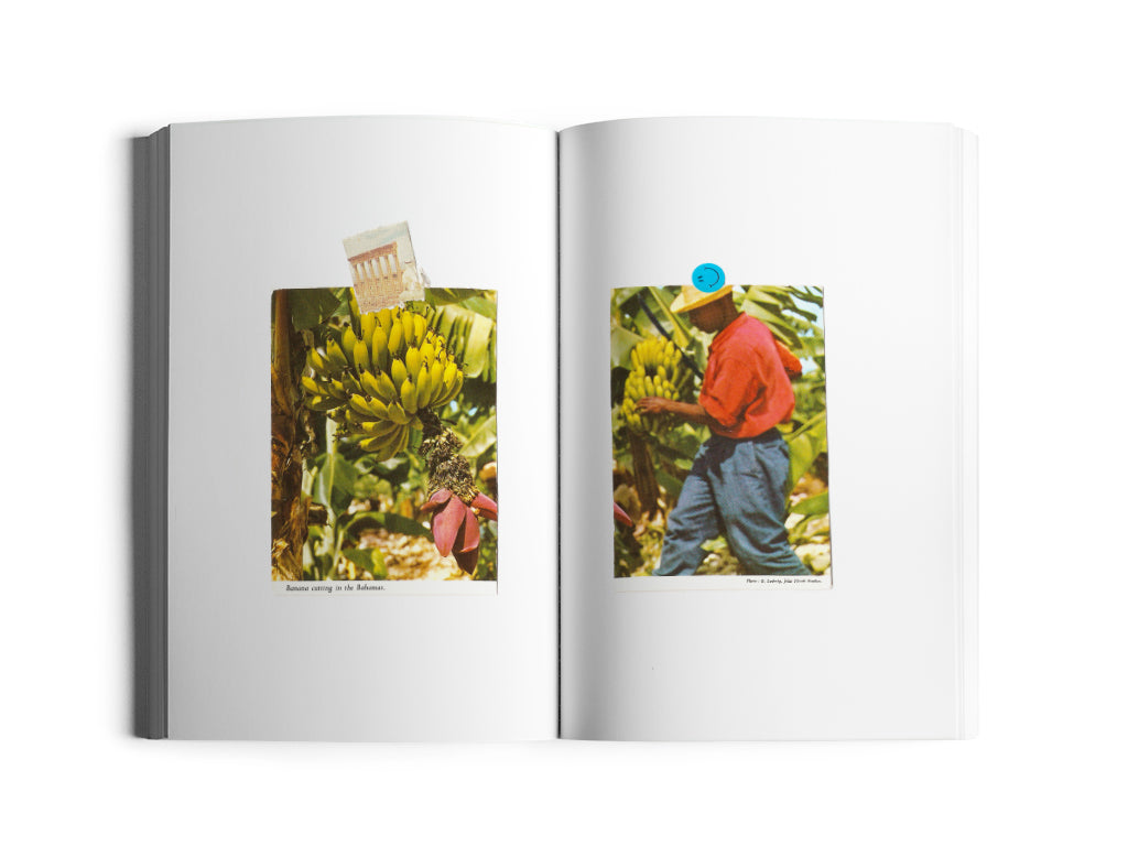 Serrano Hot Pocket Zine