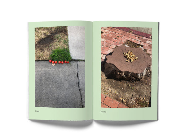 Image of a spread from the book "Street Snacks." The lefthand page is a photo of tomatoes lined up on the sidewalk; the righthand page is a photo of a pile of peanuts on a tree stump.